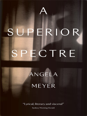 cover image of A Superior Spectre
